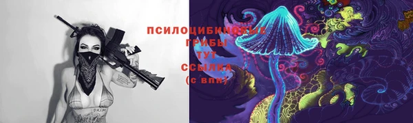 дурь Абаза