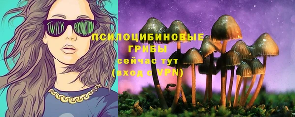 дурь Абаза