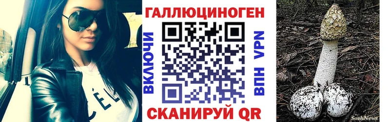 Псилоцибиновые грибы Psilocybine cubensis  купить наркотик  Ужур 