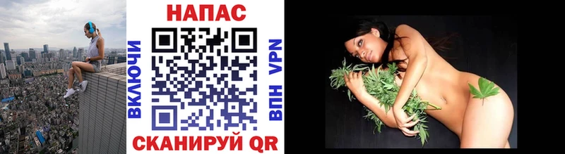 Конопля Bruce Banner  Ужур 